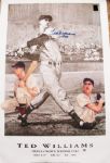 TED WILLIAMS 1942 TRIPLE CROWN SIGNED LITHOGRAPH PSA LOA
