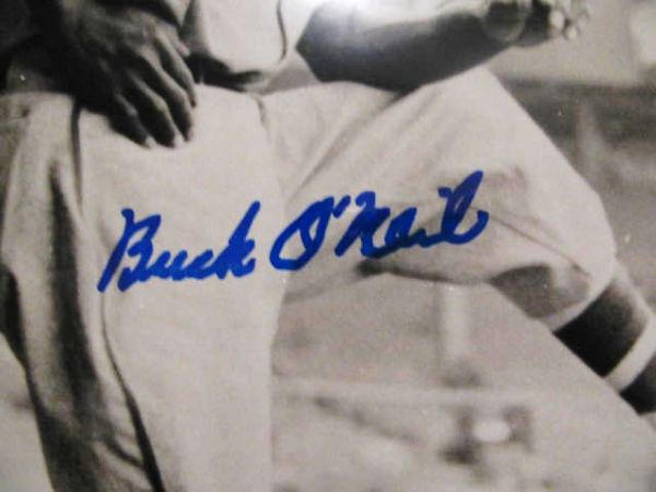 BUCK ONEIL SIGNED PHOTO w/JSA