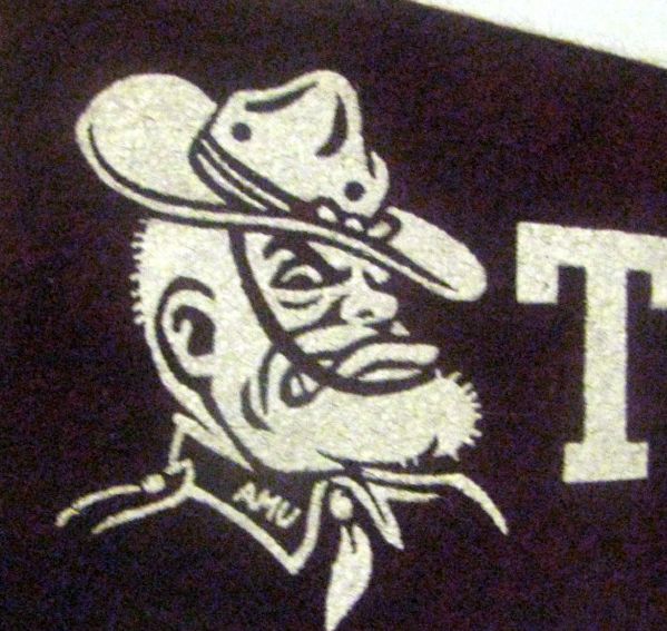 VINTAGE TEXAS A & M AND T.C.U. mini PENNANTS