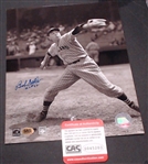 BOB FELLER 8X10 AUTO W/ CAS COA