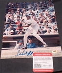 DAVE WINFIELD 8X10 AUTO W/ CAS COA